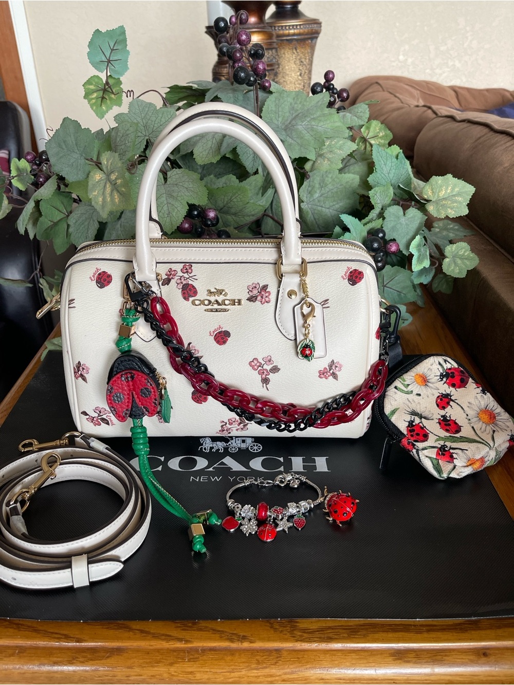 Coach Rowan Satchel in Ladybug Print with Ladybug Accessories